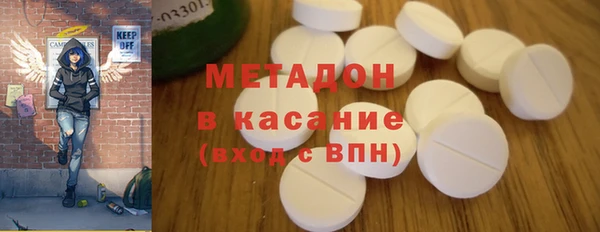 прущие грибы Бронницы