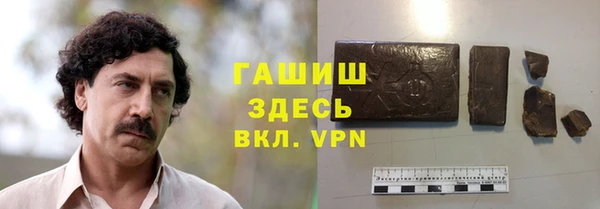 прущие грибы Бронницы