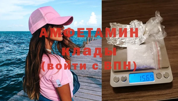 ГАЛЛЮЦИНОГЕННЫЕ ГРИБЫ Семёнов