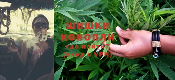прущие грибы Бронницы