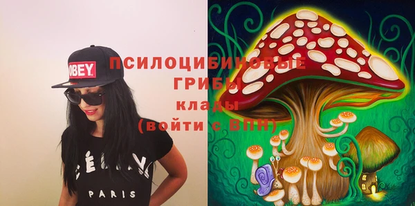 гашик Бугульма