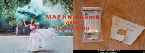 прущие грибы Бронницы